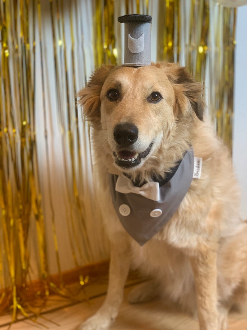 Steamboat Mice Over the Collar Dog Bandana