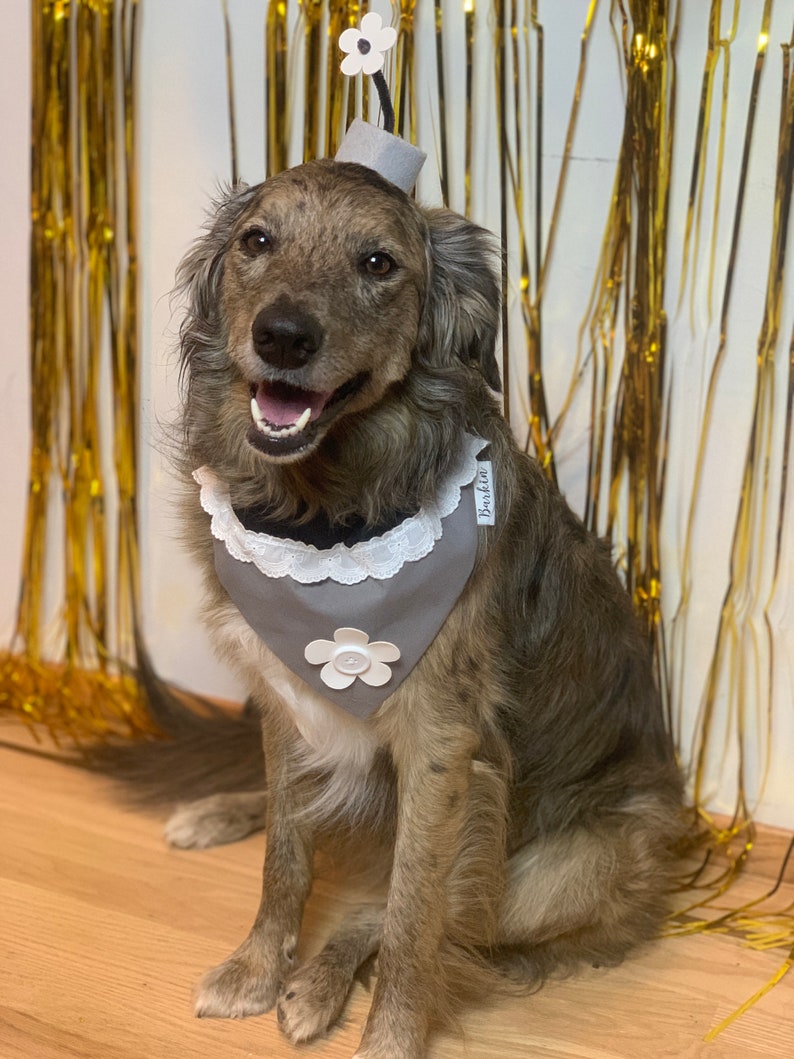 Steamboat Mice Over the Collar Dog Bandana