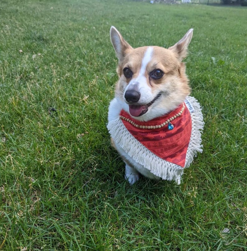 Moana Over the Collar Dog Bandana