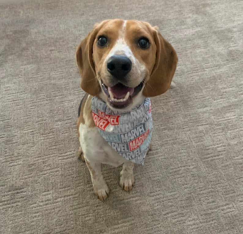 Marvel Over the Collar Dog Bandana