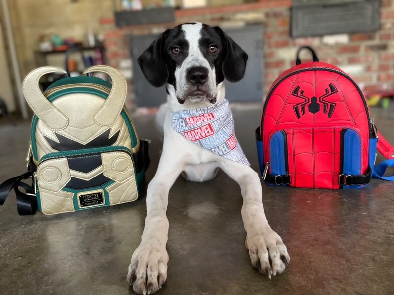 Marvel Over the Collar Dog Bandana