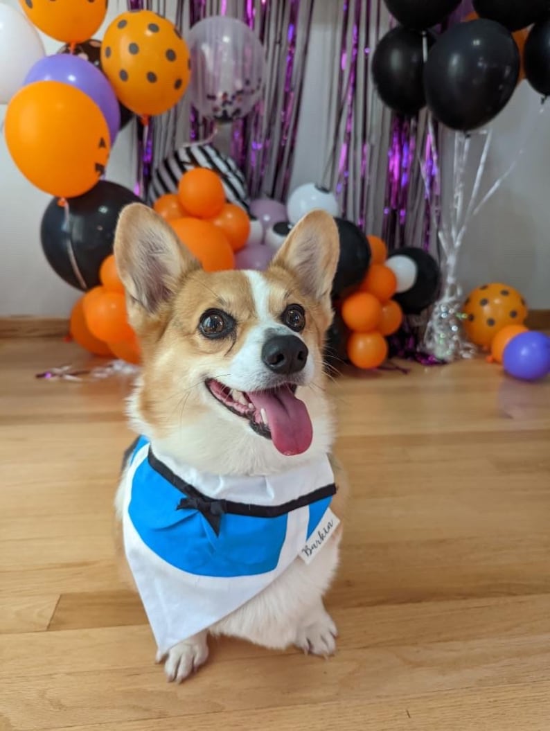 Alice Over the Collar Dog Bandana