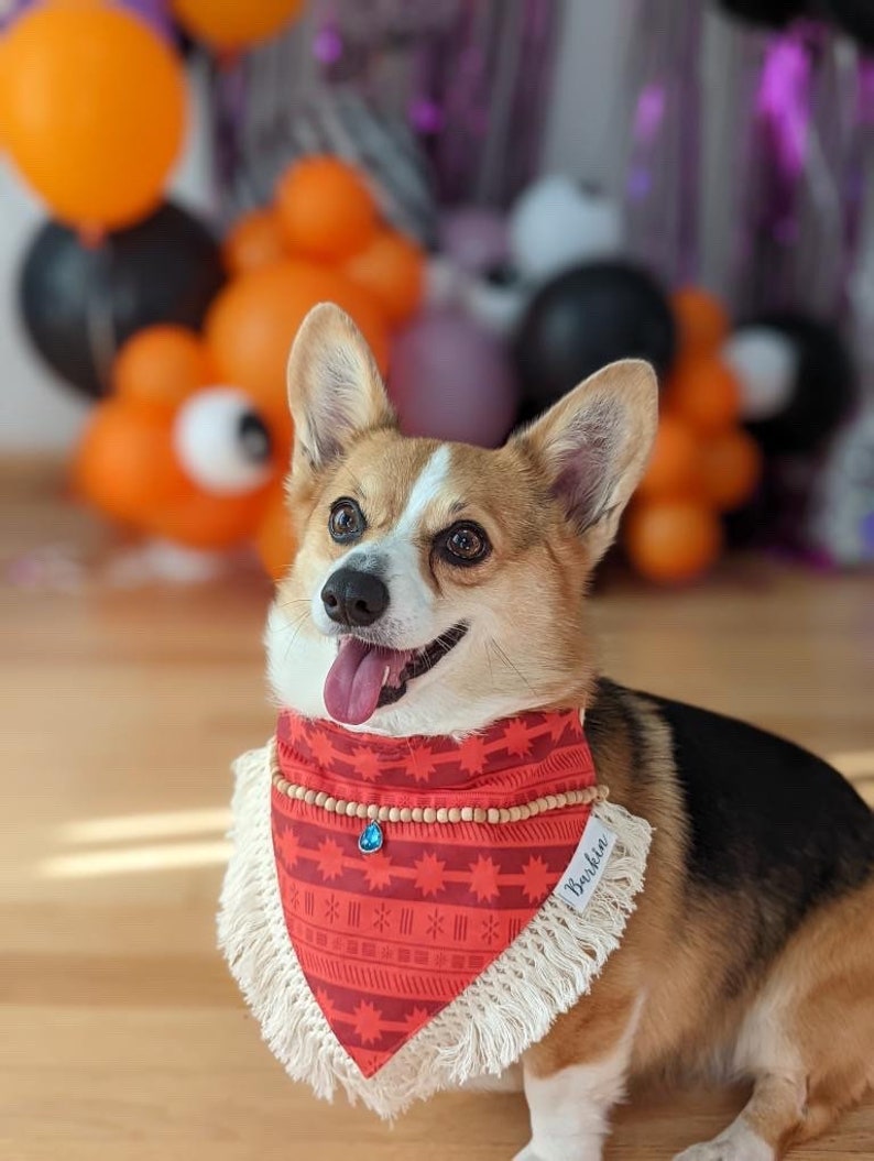 Moana Over the Collar Dog Bandana