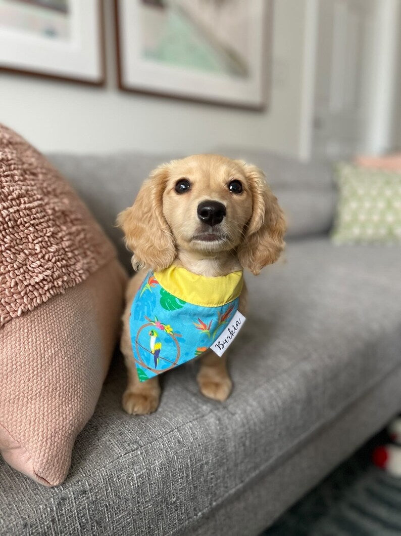 Tiki Room Birds Over the Collar Dog Bandana