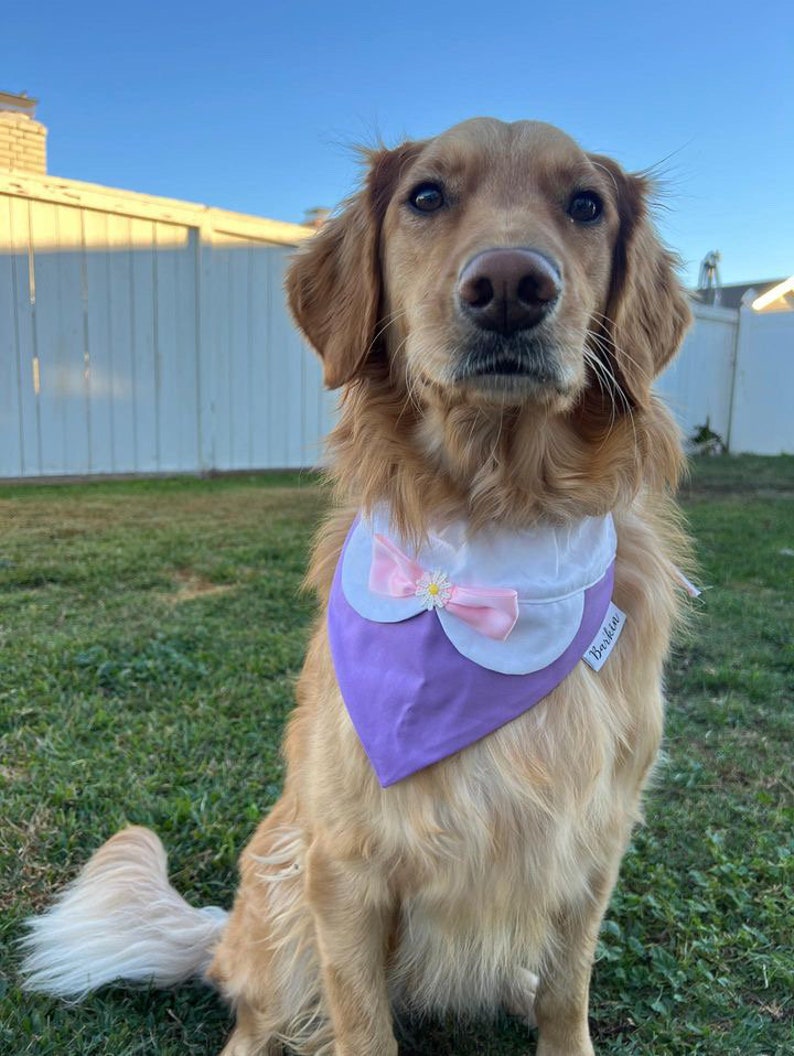 Classic Duck Over the Collar Dog Bandana