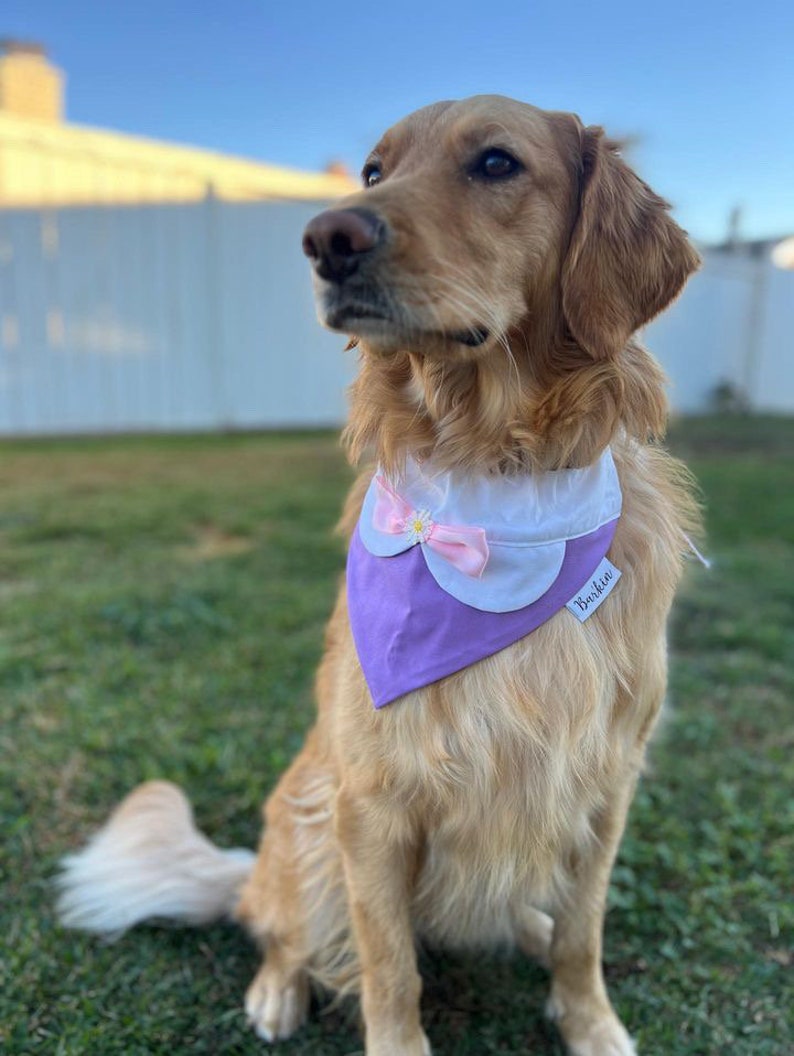 Classic Duck Over the Collar Dog Bandana
