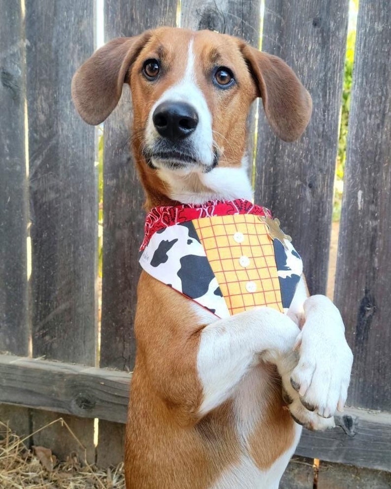 Sheriff Woody Over the Collar Dog Bandana