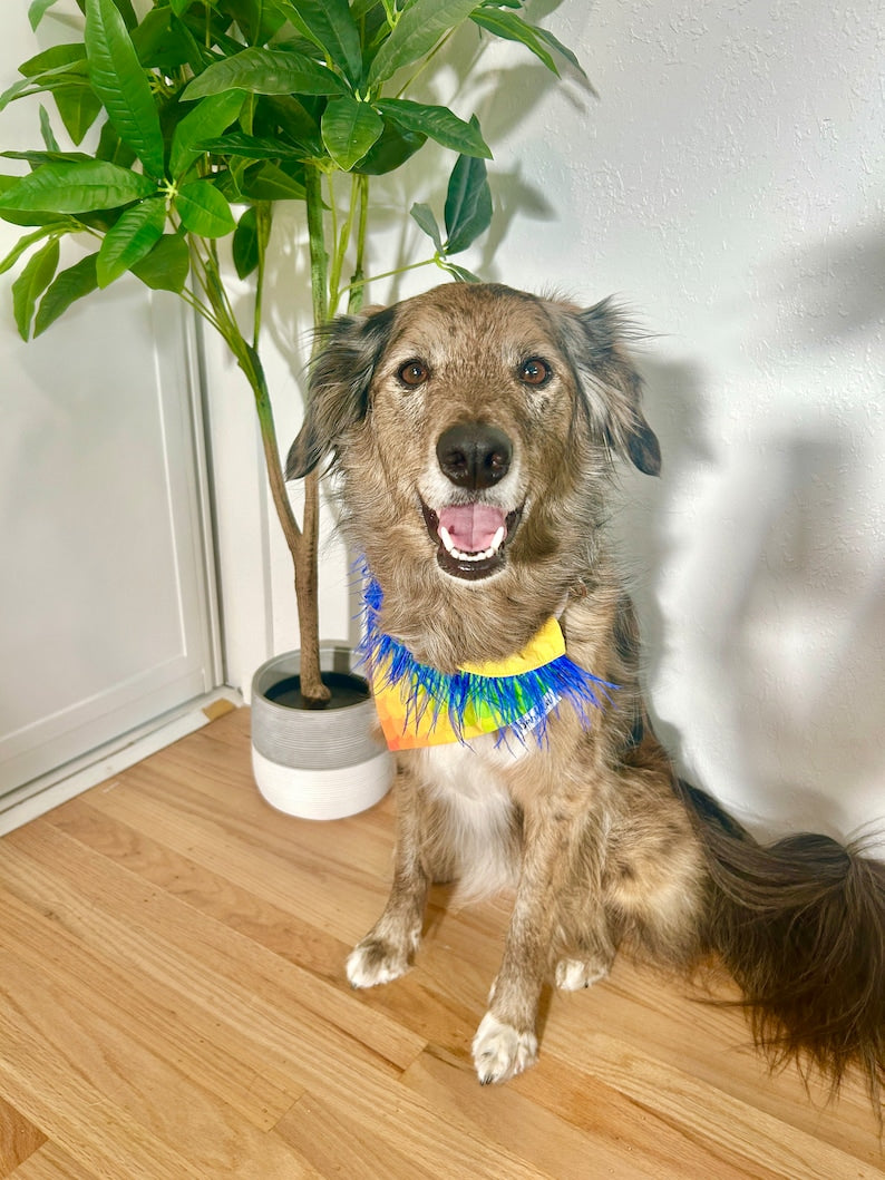 Kevin UP Over the Collar Dog Bandana