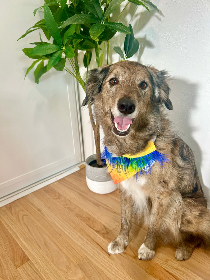 Kevin UP Over the Collar Dog Bandana