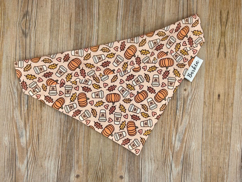 Pumpkin and Latte Over the Collar Dog Bandana