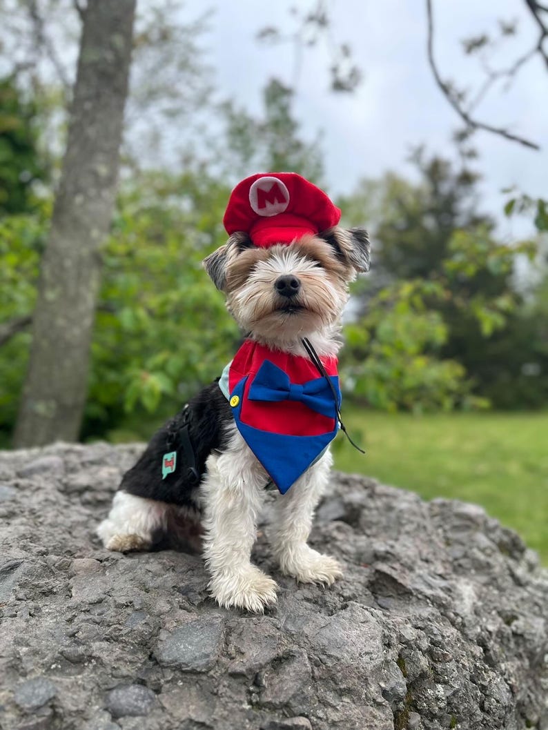 Red Italian Brother Over the Collar Dog Bandana
