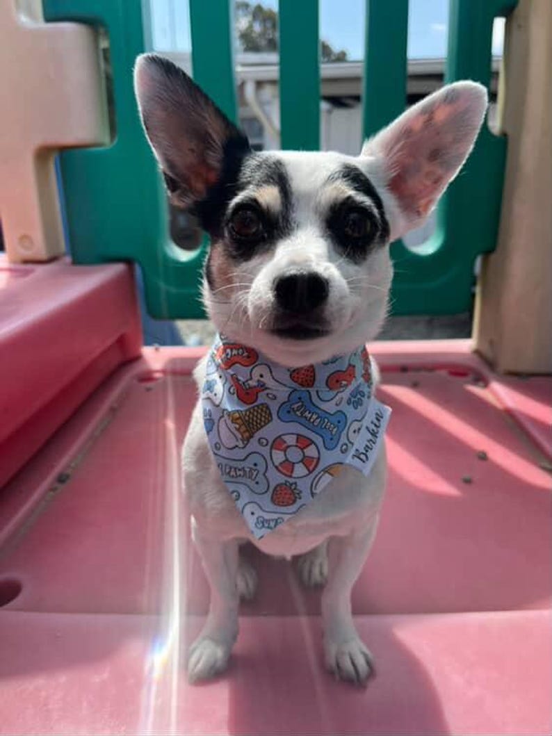 July Dogs Over the Collar Dog Bandana